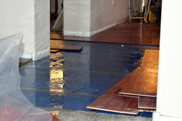 Professional Burst Pipe Cleanup technician working in Wayne, OK